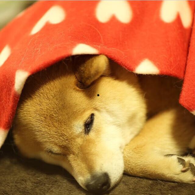 2026年新电影上映的有哪些