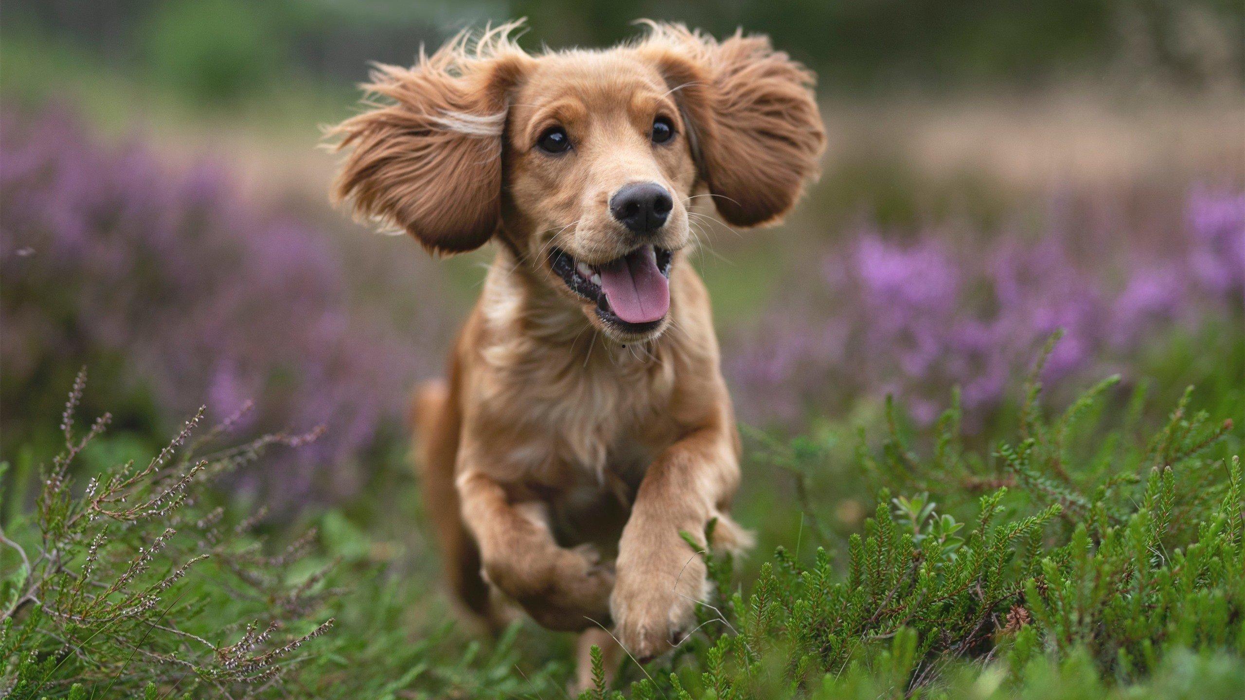 推荐好看的新的韩剧或者综艺节目